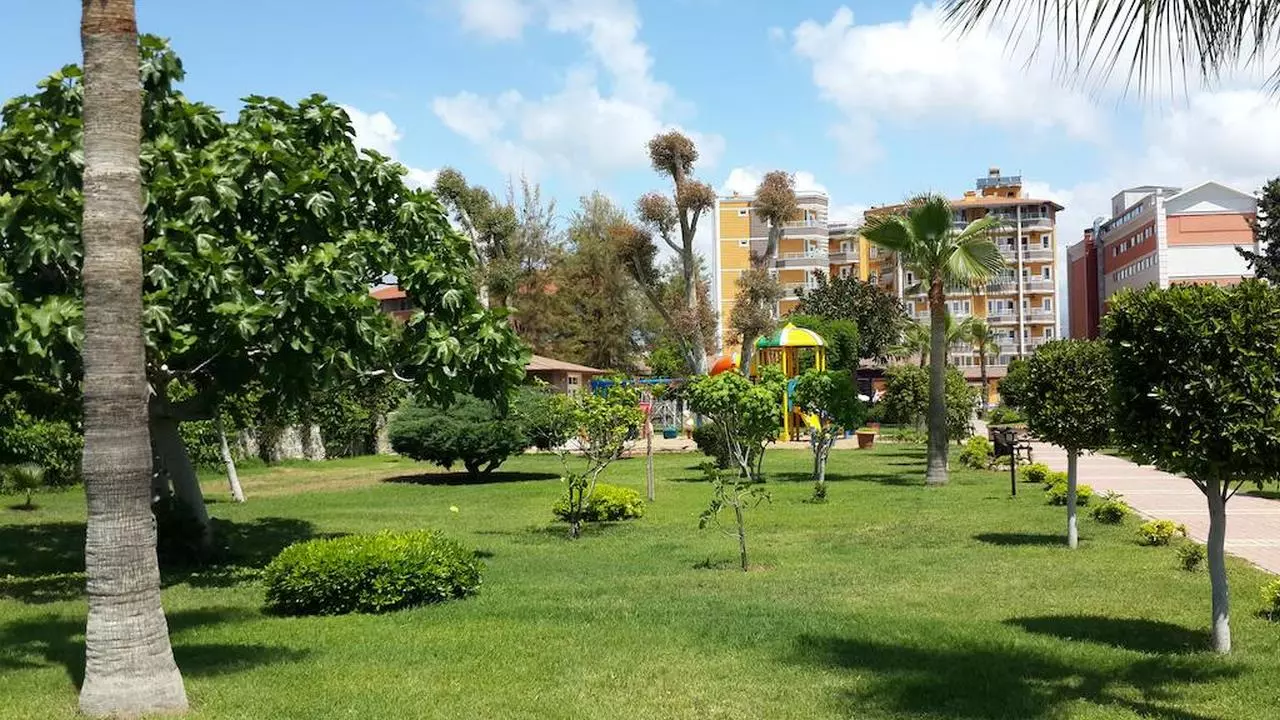 SENZAINOVA_SHABAVIZPARVAZ (7).jpg